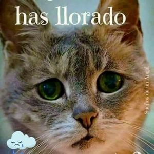 Meet your Posher, Dave